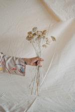 Meszes fehér achillea - Image 2
