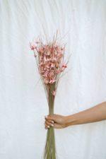 Tulipánfű rózsaszín - Image 2