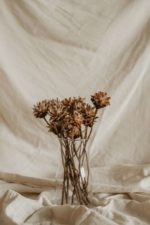 Plumosum - Image 2