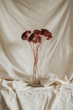 Achillea csokor