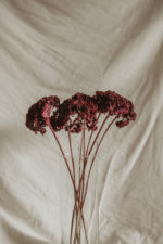 Achillea csokor - Image 2