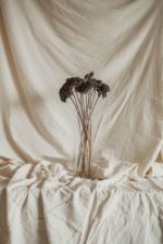Achillea szürke-fekete - Image 4