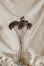Achillea szürke-fekete - Image 3