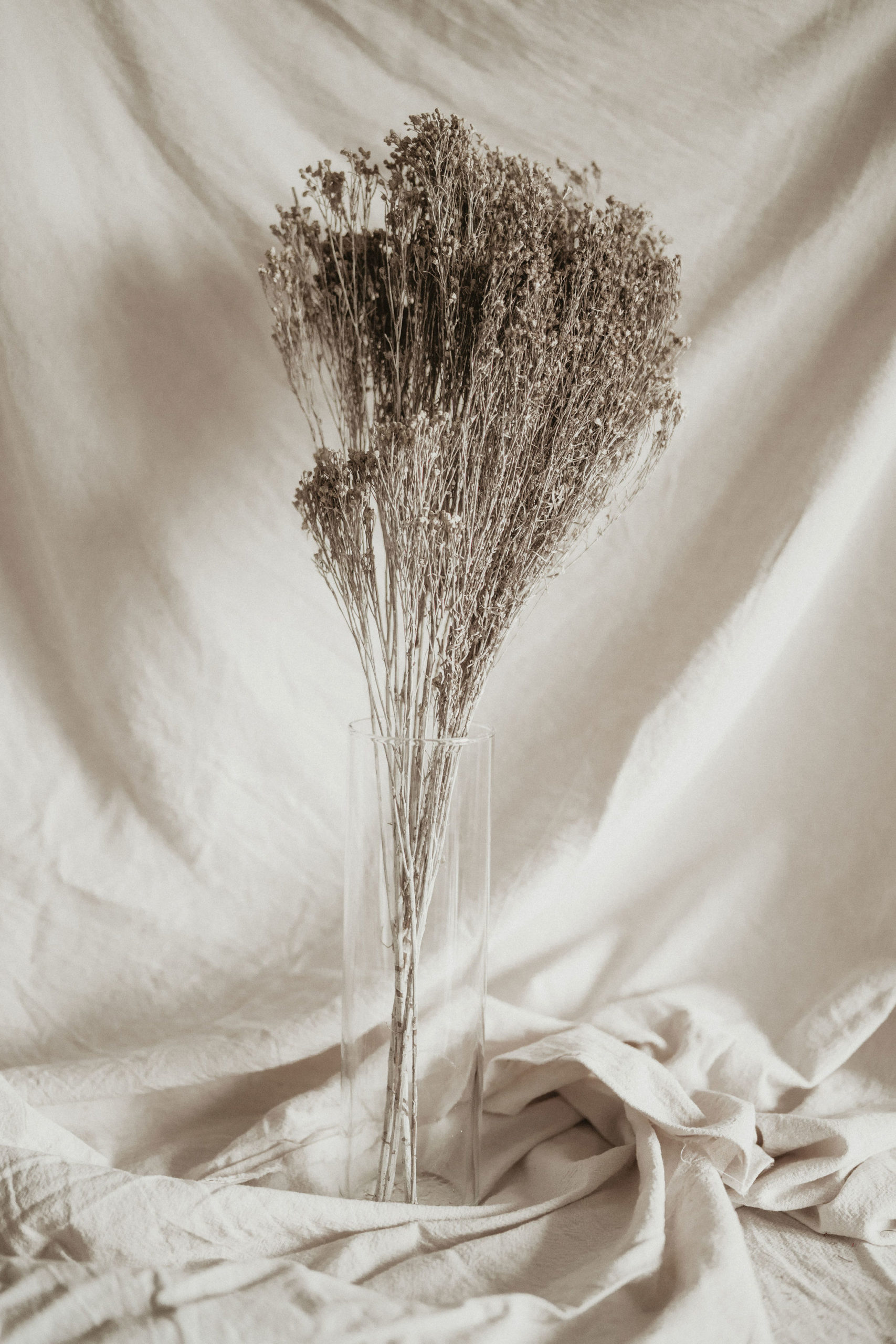 DSC00342 Broom Bloom falfestékes fehér - Image 1