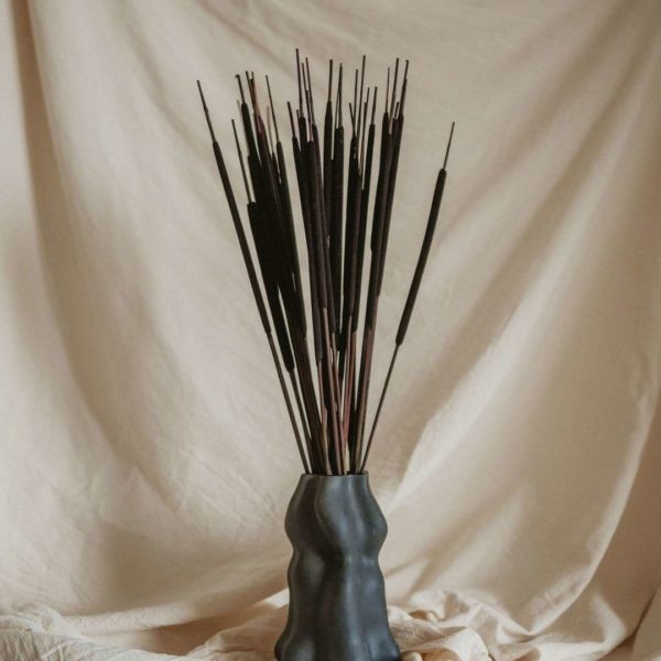 Typha indiai sötét