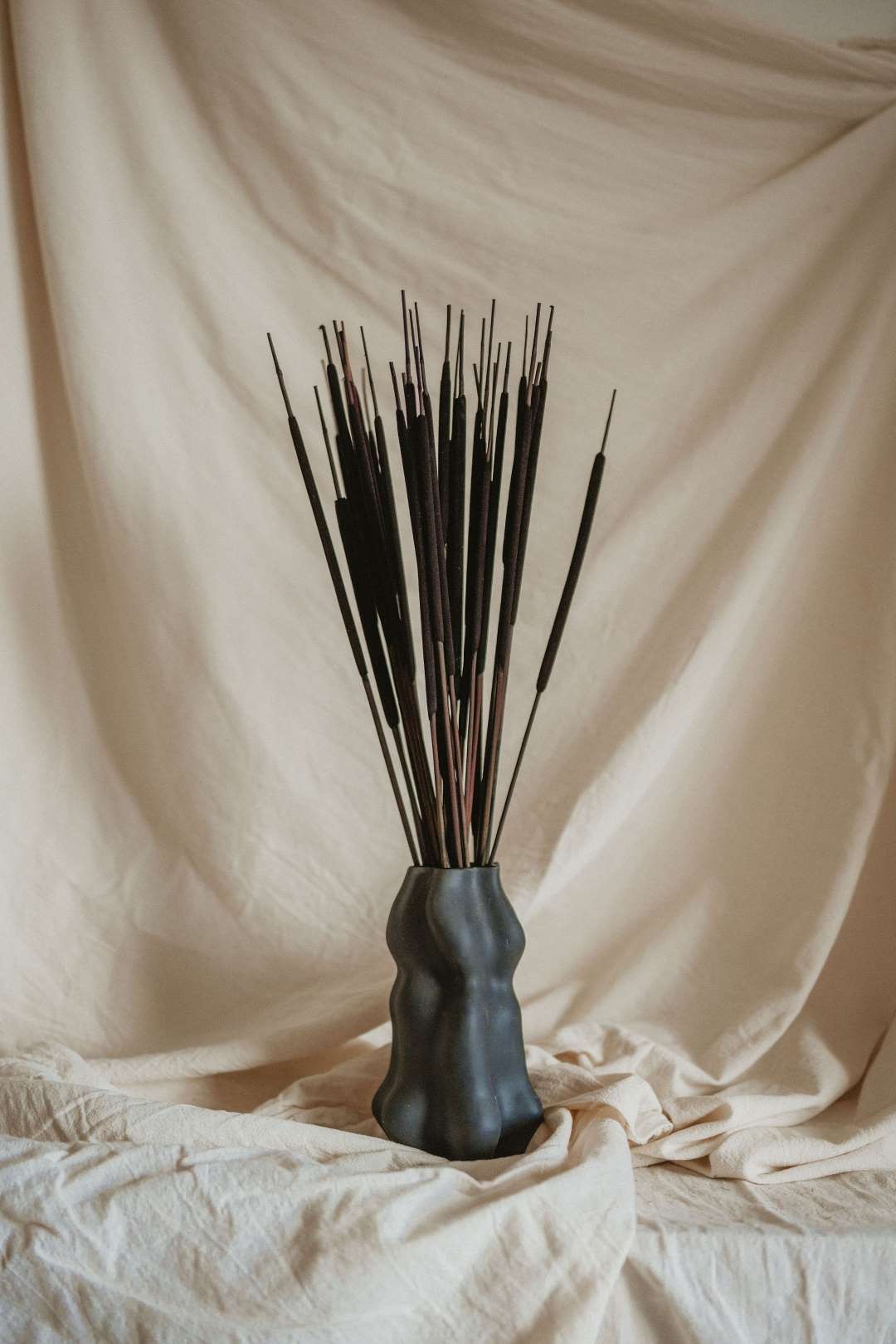 DSC00361 Typha indiai sötét - Image 1