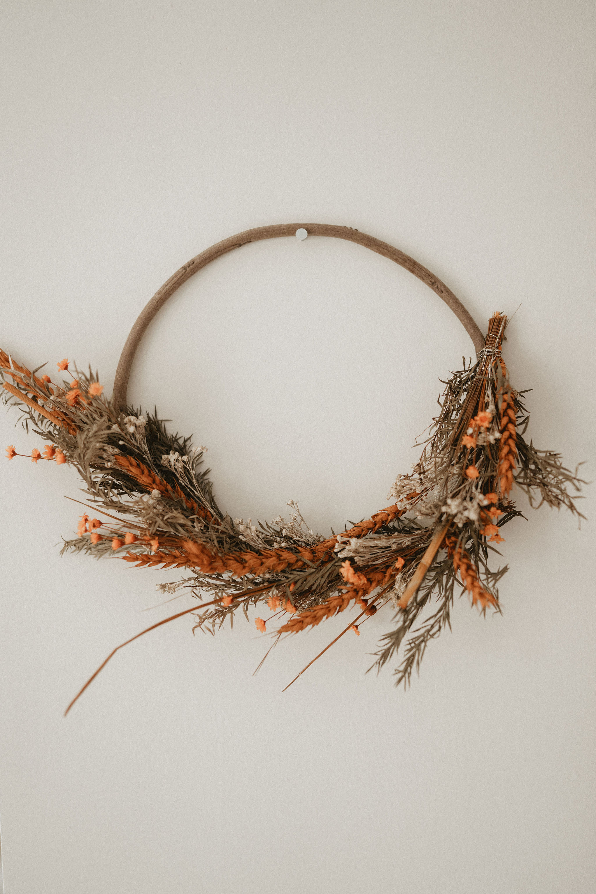DSC00421 Narancs kopogtató - Image 1