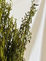 Lycopodium ág preparált világos zöld - Image 3