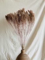 Broom Bloom falfestékes barack - Image 4
