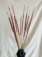 Narancs typha indiai - Image 3