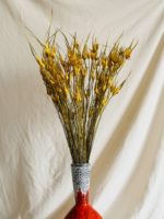 Sárga tulipánfű - Image 3