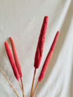 Pink babala - Image 2