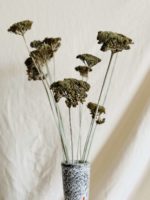 Achillea pasztell zöld - Image 6