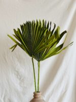 Zöld nagy pálma - Image 2