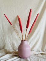 Pink babala - Image 5