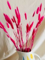 Pink lagurusz - Image 4