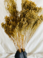 Broom Bloom falfestékes sárga - Image 5