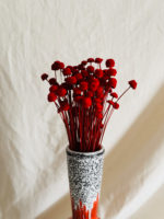 Bordó Pavao - Image 3