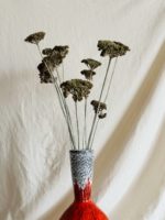 Achillea pasztell zöld