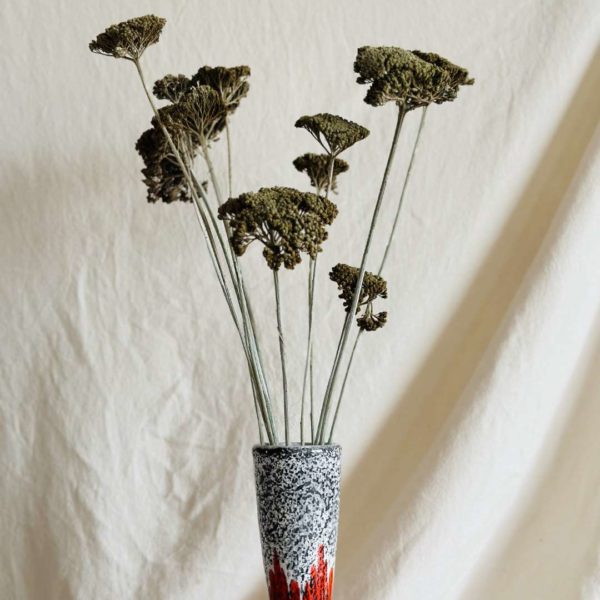 Achillea pasztell zöld