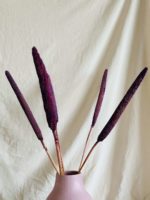 Lila babala - Image 4