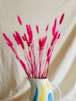 Pink lagurusz - Image 5