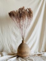 Broom Bloom falfestékes barack