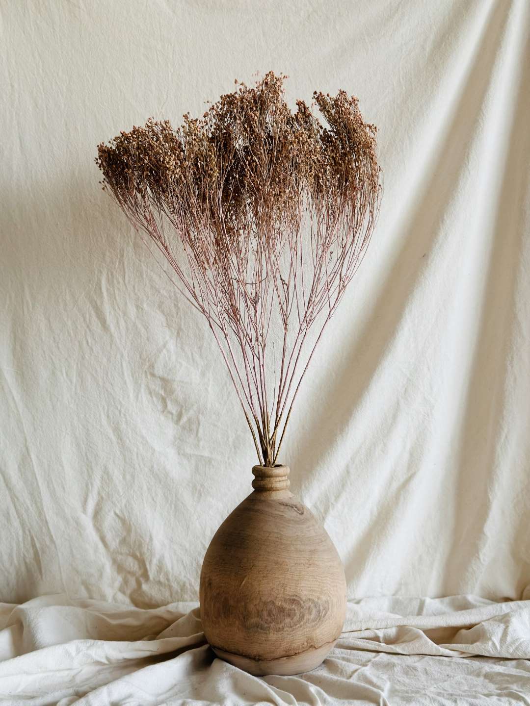 BF1BA289-1625-46FC-B0E5-3C58C72D6A96 Broom Bloom falfestékes barack - Image 1