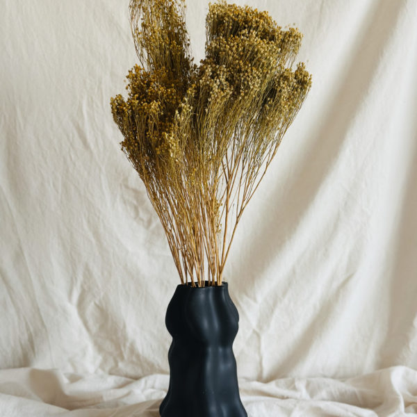 Broom Bloom falfestékes sárga