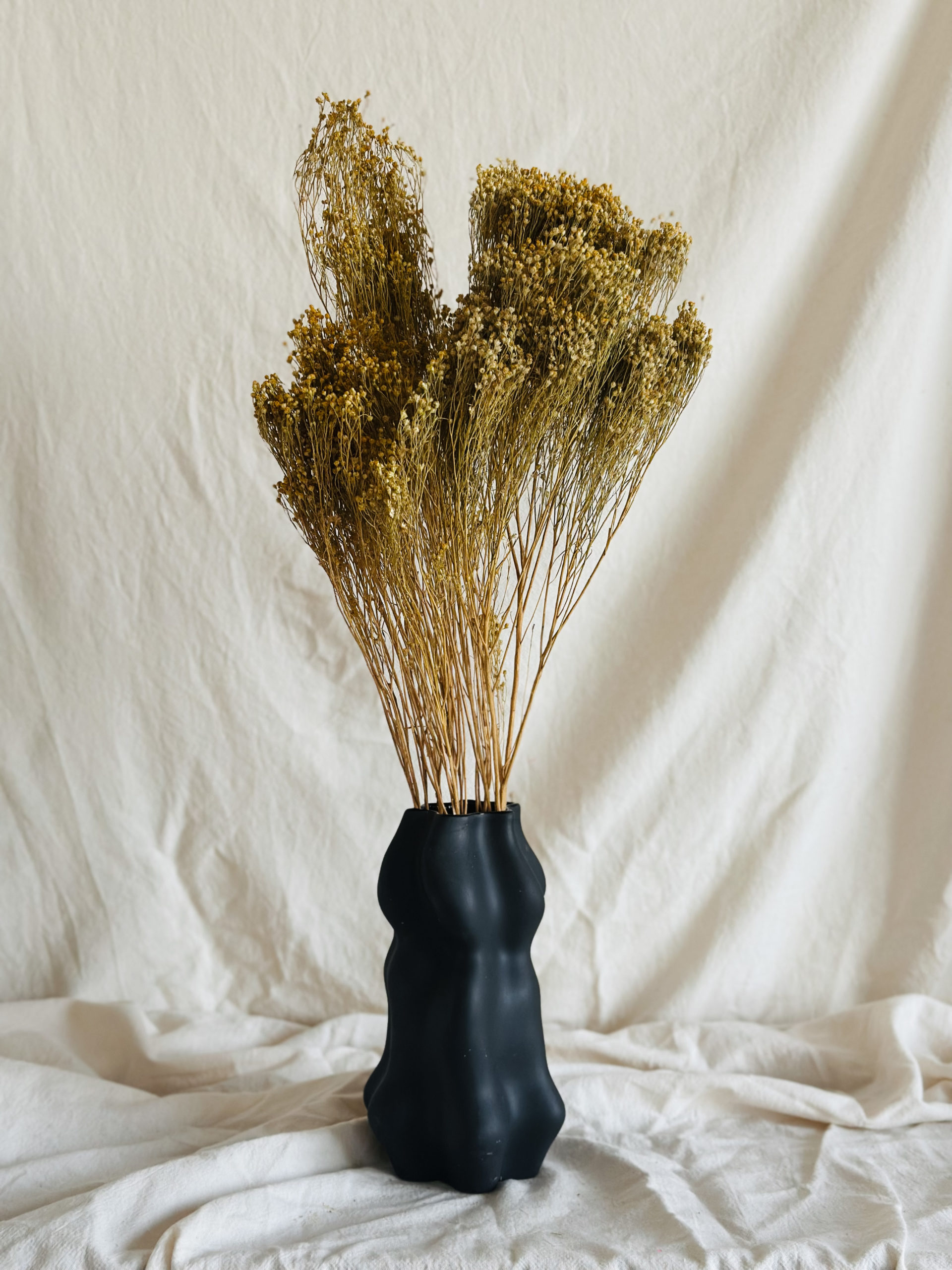 C310FF12-8110-44FE-A500-DE75F5E41A2B Broom Bloom falfestékes sárga - Image 1