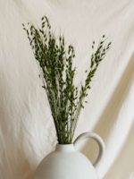 Borzas fű - Image 3
