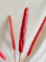 Pink babala - Image 3