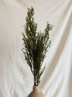 Lycopodium ág preparált világos zöld - Image 4