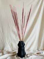 Rózsaszín typha indiai - Image 4