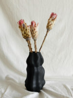 Protea rózsaszín - Image 2