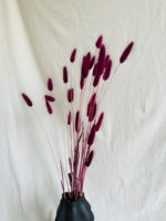 Burgundi lila lagurusz - Image 2