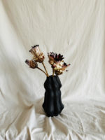 Protea nerifolia - Image 3