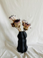 Protea nerifolia