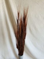 Barna szakállas búza - Image 2