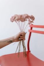 Achillea világos rózsaszín