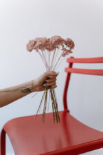 Achillea világos rózsaszín - Image 2