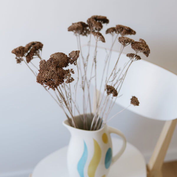 Achillea barna